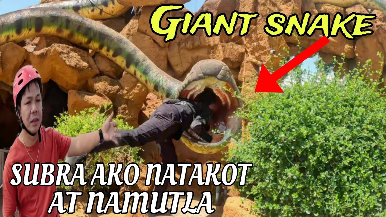 GIANT SNAKE GRABE SUBRANG TAKOT KO AT NAMUTLA