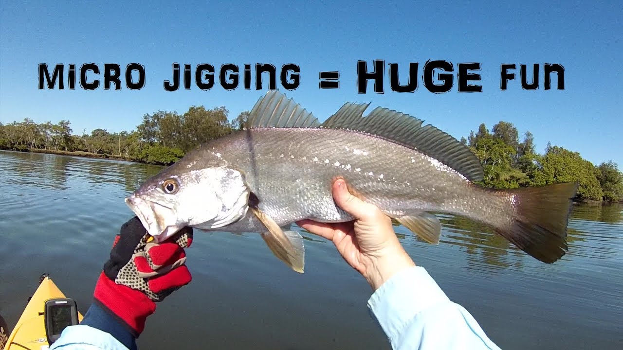 Estuary Micro Jigging - Kayak Fishing SE Qld - Mulloway + More!