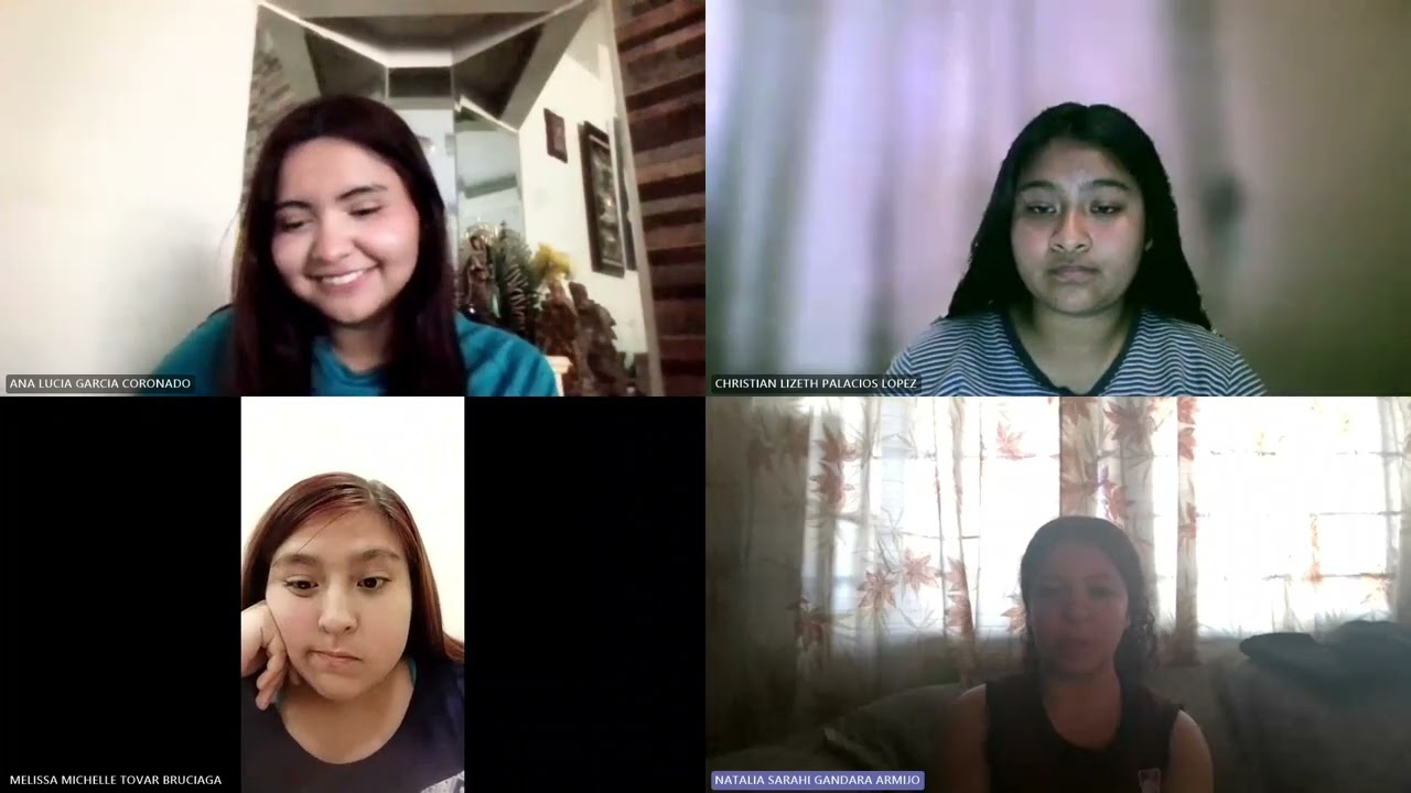 Video Project