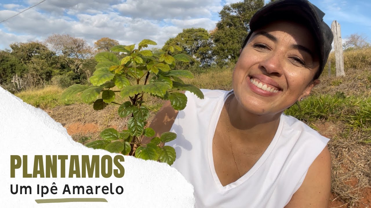 LIDA NA ROÇA - PLANTAMOS ÁRVORES E FRUTÍFERAS (Ipê, Jequitibá, Palmito, Graviola, Grumixama, Ameixa)