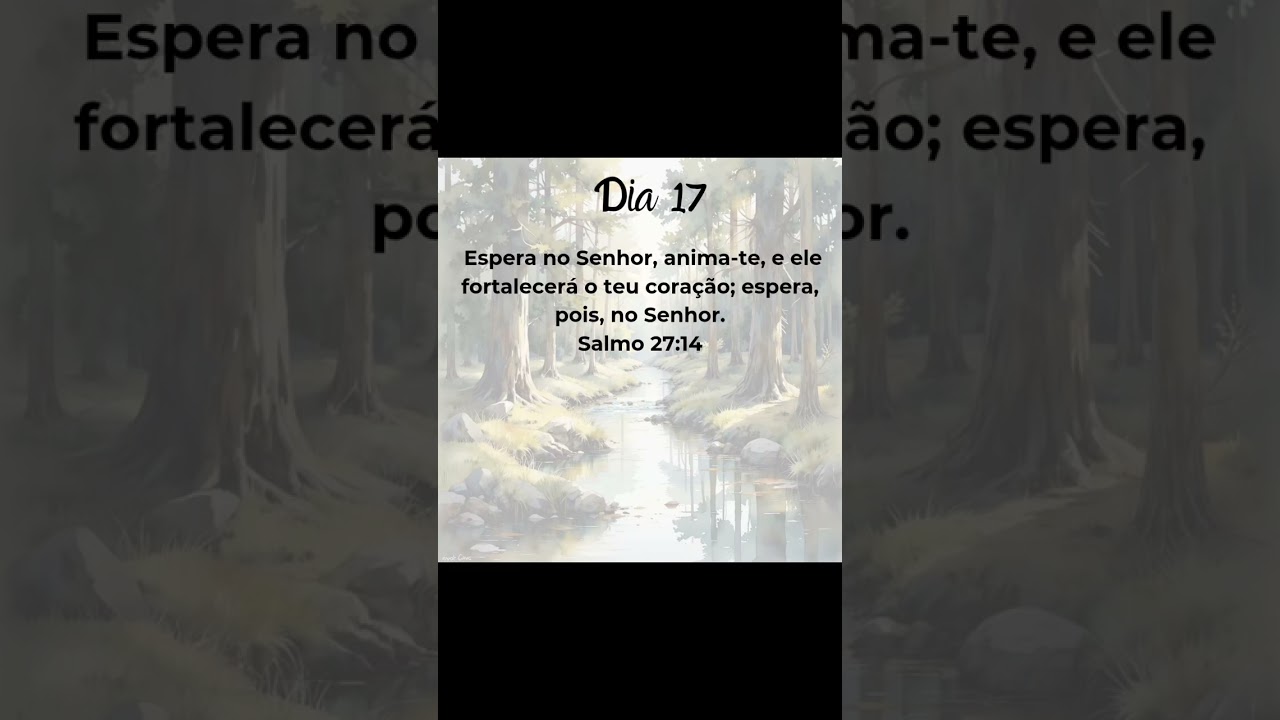 Resumo do m&ecirc;s de janeiro 2025