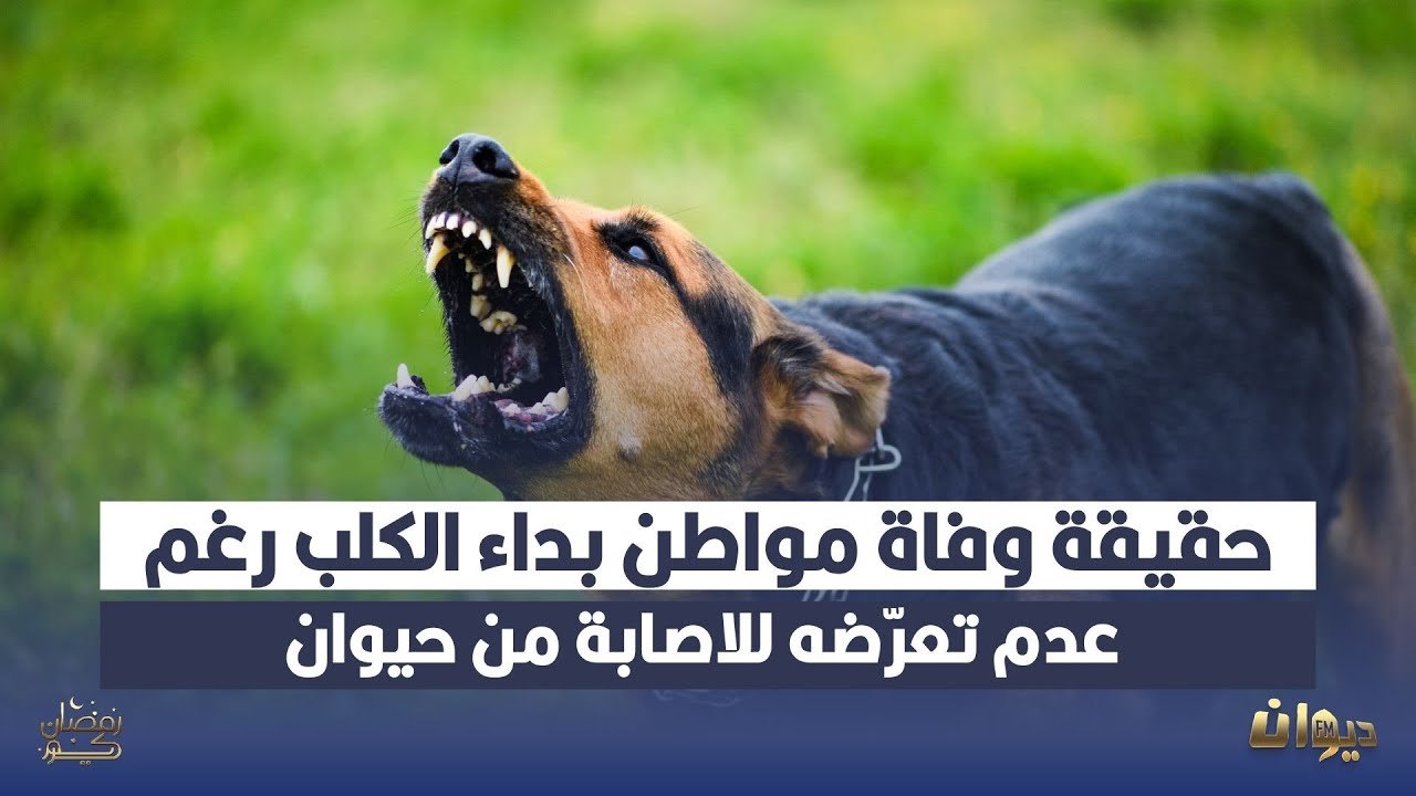 حقيقة وفاة مواطن بداء الكلب رغم عدم تعرّضه للاصابة من حيوان: عميد الأطباء البياطرة يوضّح