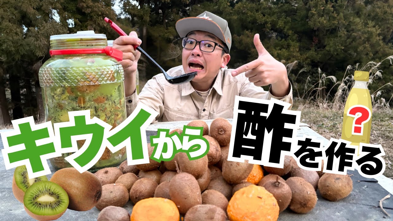 キウイで酢を作る！秘密兵器投入で確実にキウイ酢へ