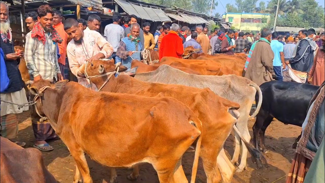 @আজ ৩০ জানুয়ারি