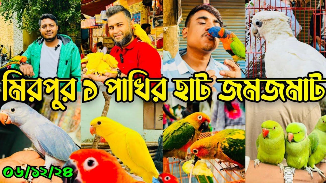 হাটে পাখি কে'না বে'চা অনেক বেশি।Mirpur 1 Pakhir Hat।মিরপুর ১ পাখির হাট #viralvideo