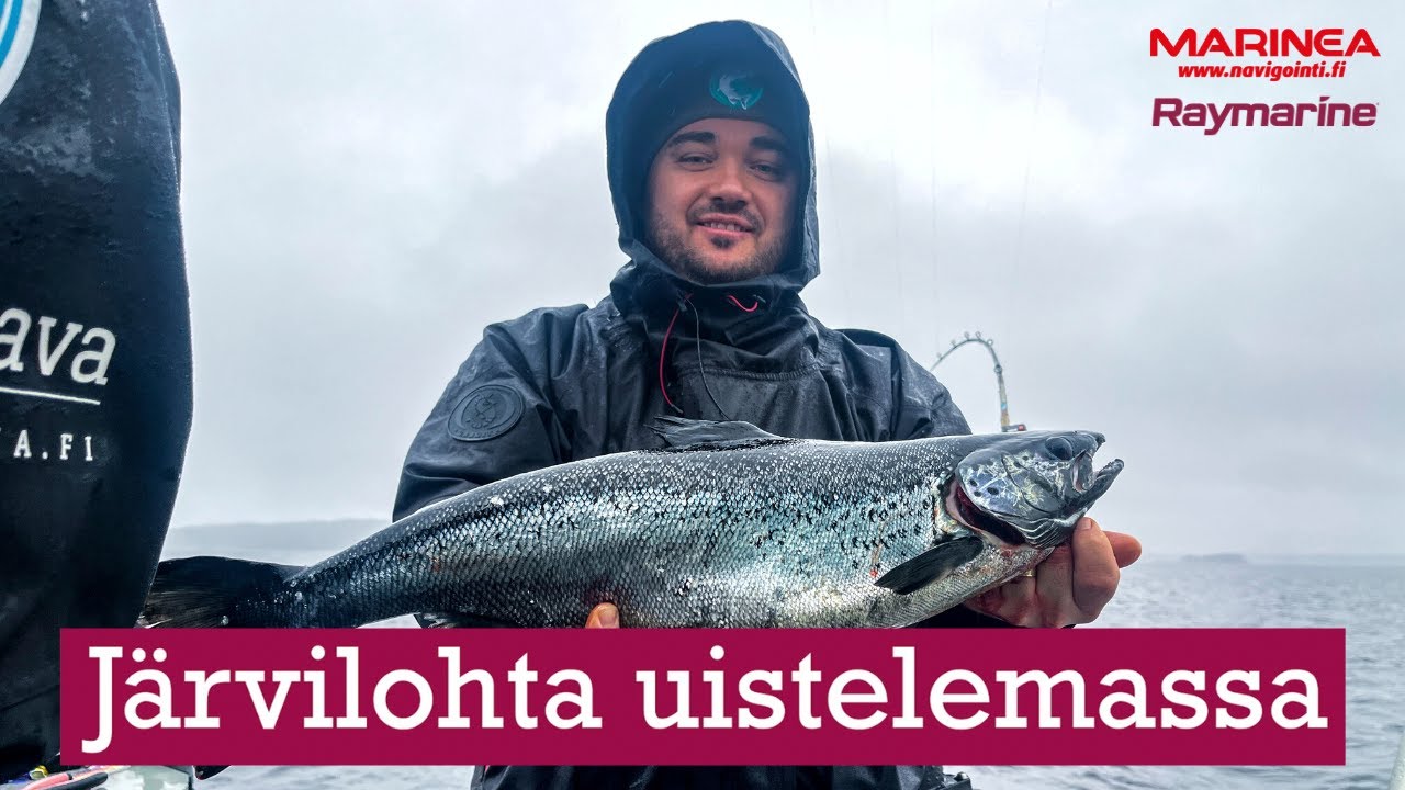 Järvilohen uistelua Saimaalla