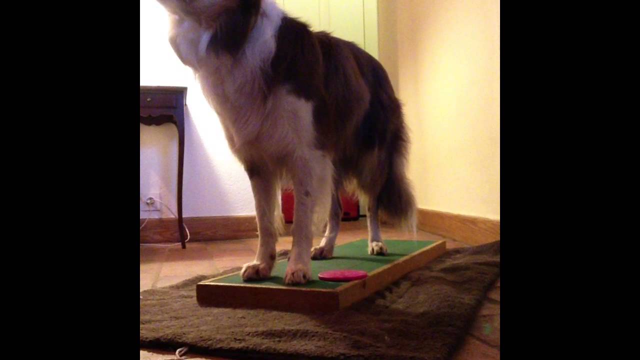 Cross Paws While Standing
