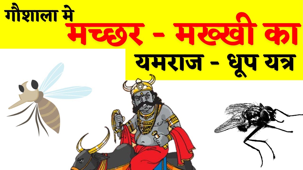 Keep Mosquito & Fly Away - NATURAL Repellent - Dhoop Yantra