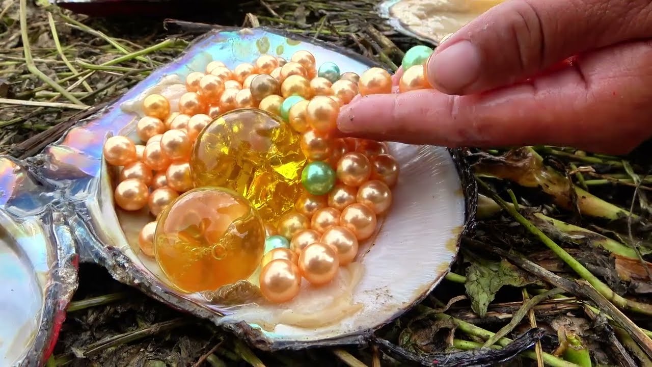😱 wow 😱 The girl found a huge clam in the waterfall and collected orange pearls. It's so beautiful