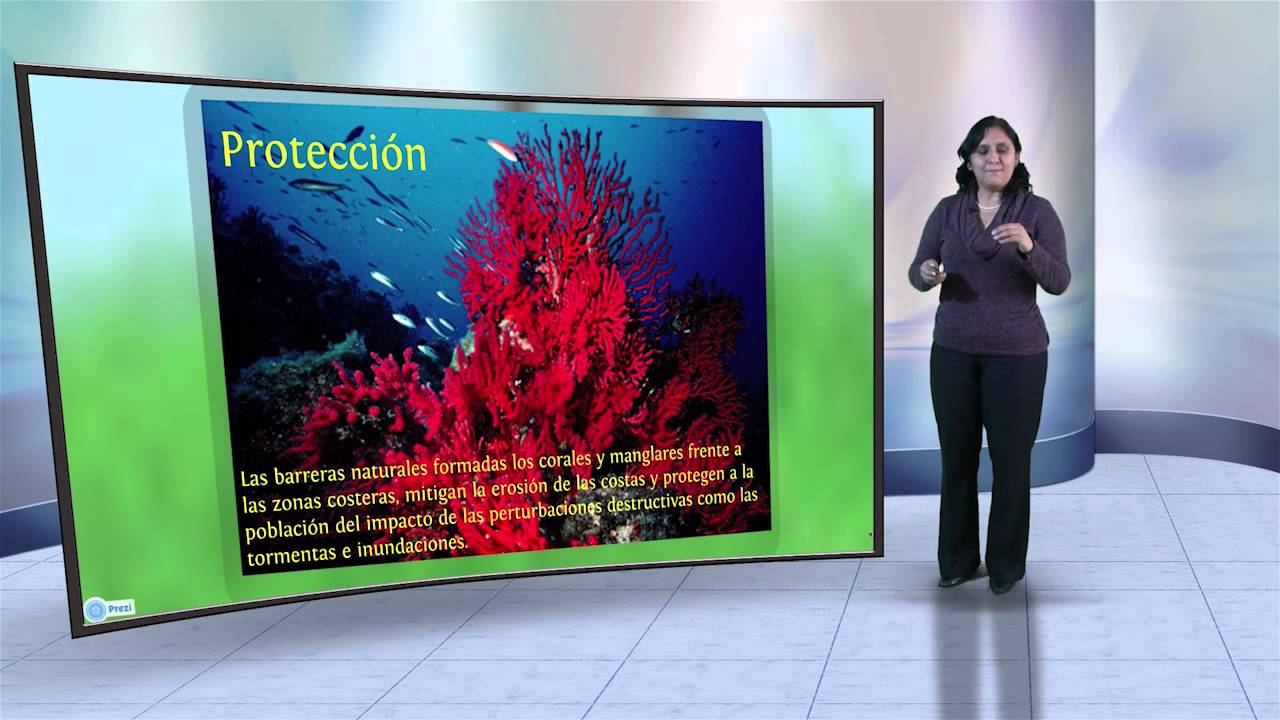 Cátedra Perú Ambiental - Ecosistema marino costero y pesca responsable
