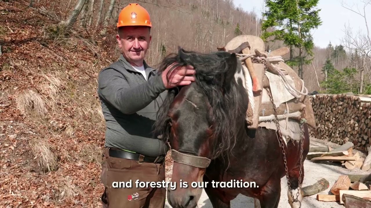 WLC 2026, Slovenia - Trailer