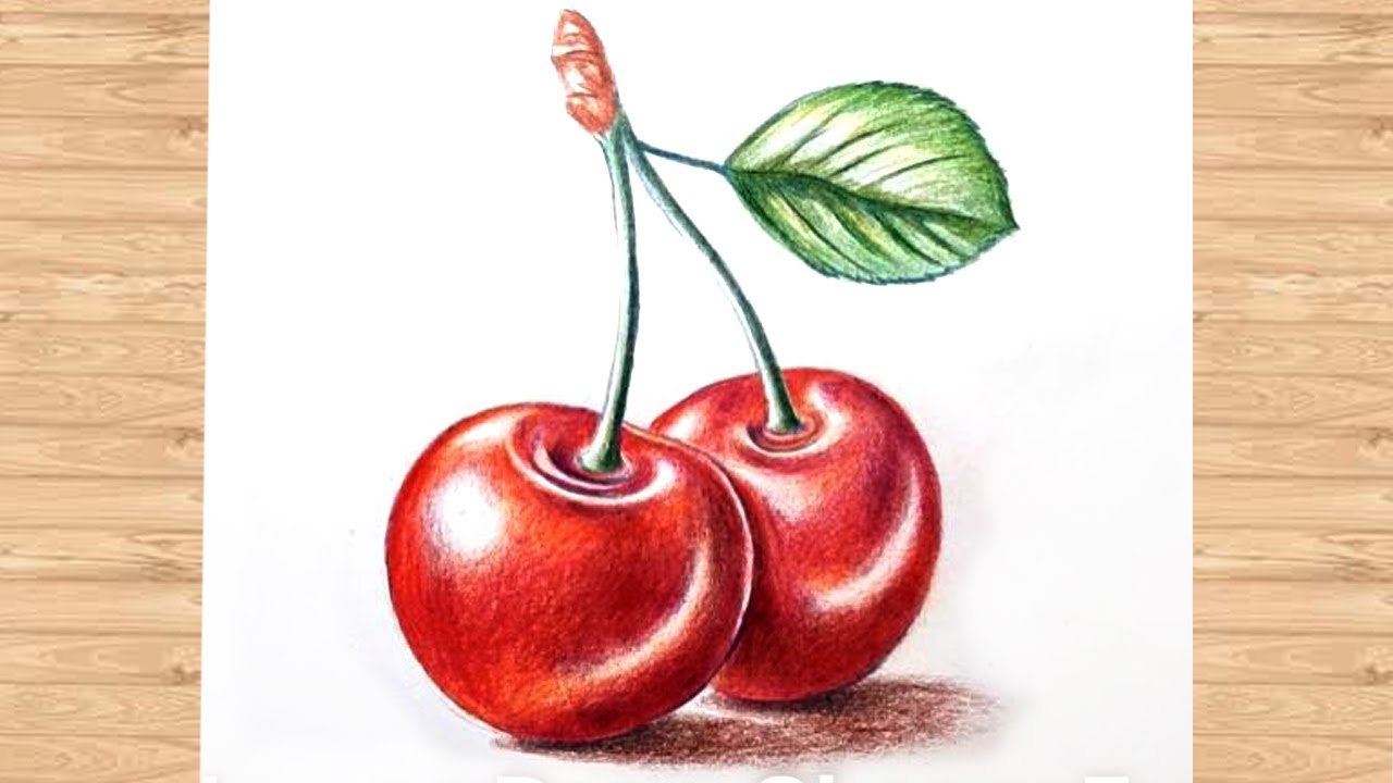 How to Draw Cherry Fruit🍒 step by step with color pencils | Cherry fruit color drawing for Kids