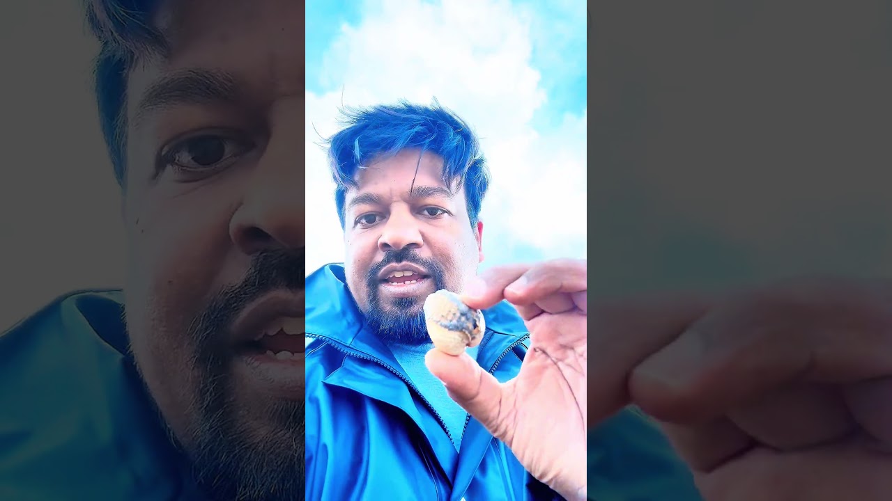 Pearl #itsmebjr #explore #viral #travelvlog #beach #pearl #wow