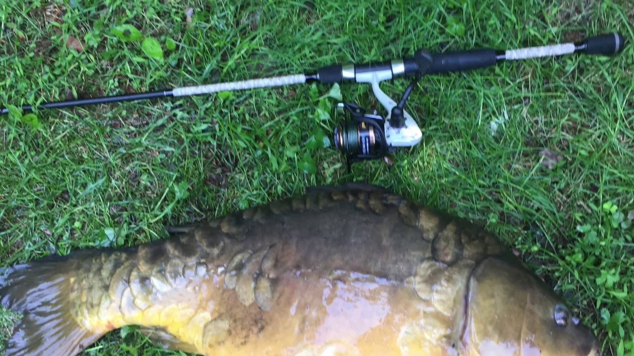 Carp 30lb +