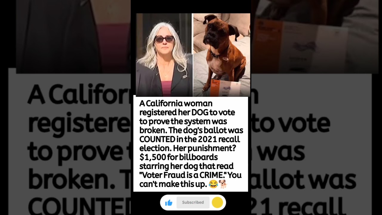 California Woman Says Her Dog&rsquo;s Ballot Was Counted in Recall Election 😂🐕🇺🇸