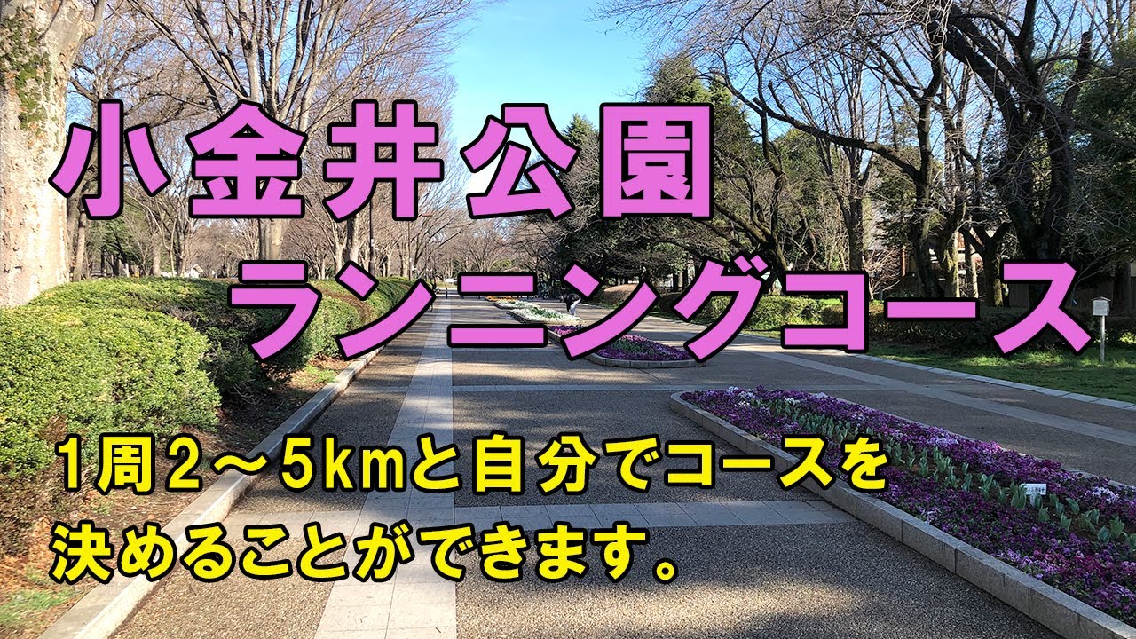 小金井公園ランニングコース紹介！1周2〜5キロと自分で距離を決められるので、自分の走力に合わせて走ることが出来ます。