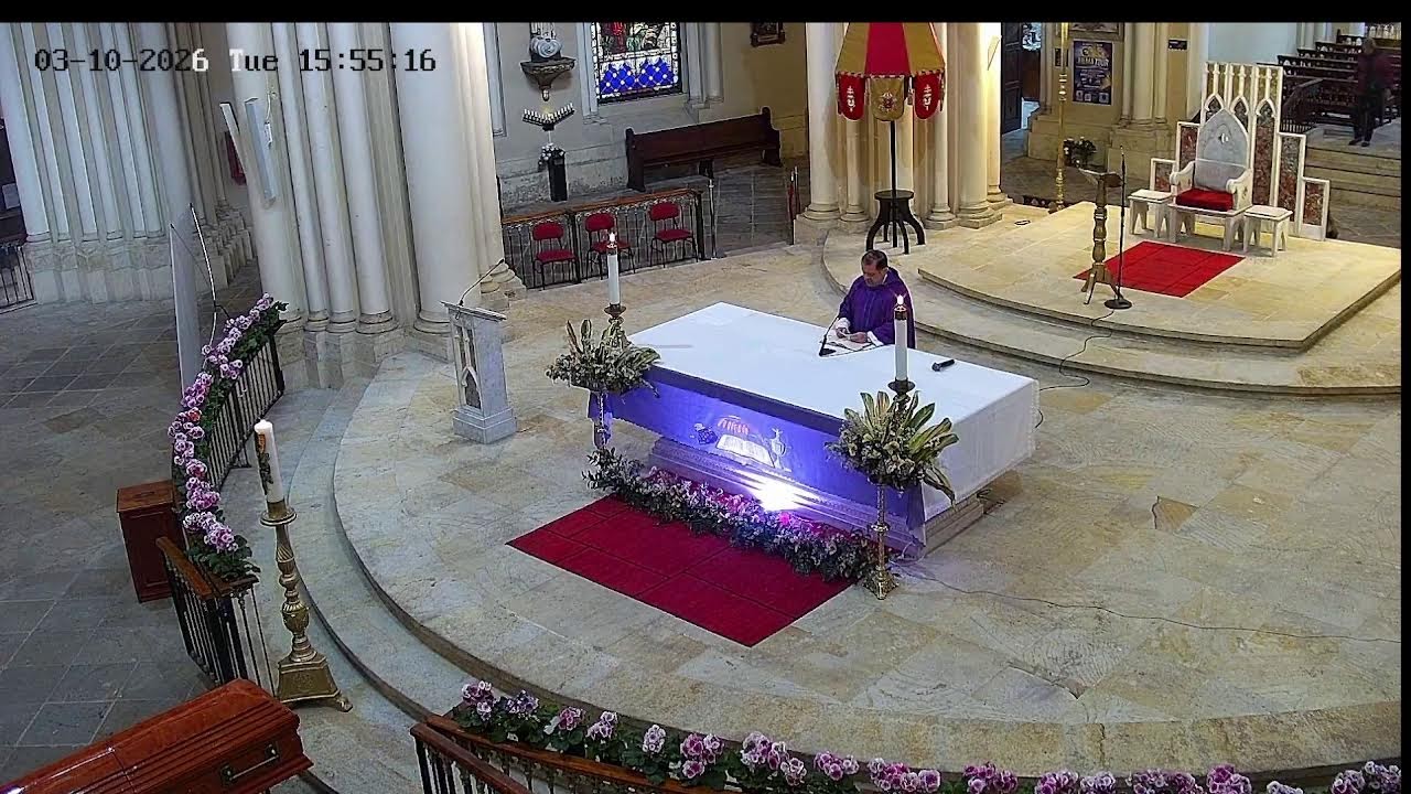 Transmisión Eucaristía Basílica de Lourdes   2024