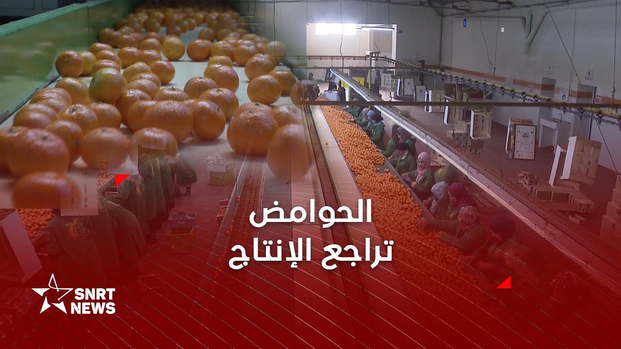 قطاع الحوامض .. تراجع الإنتاج إلى مستويات قياسية