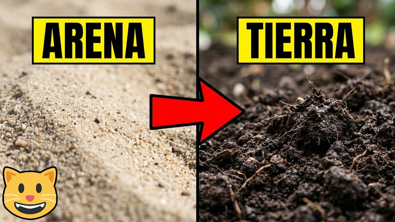 COMO CONVERTIR ARENA EN TIERRA FERTIL