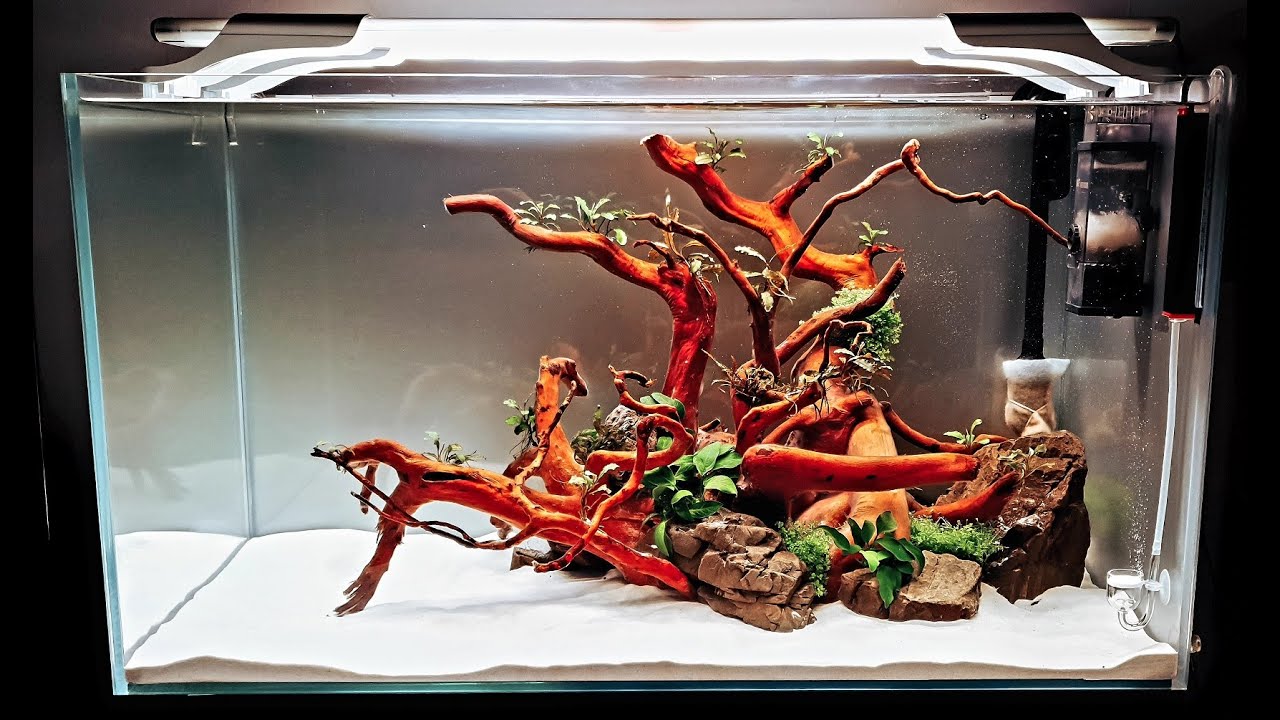 Setting up a natural aquarium step by step Part 1/2 - Zakładanie akwarium naturalnego krok po kroku