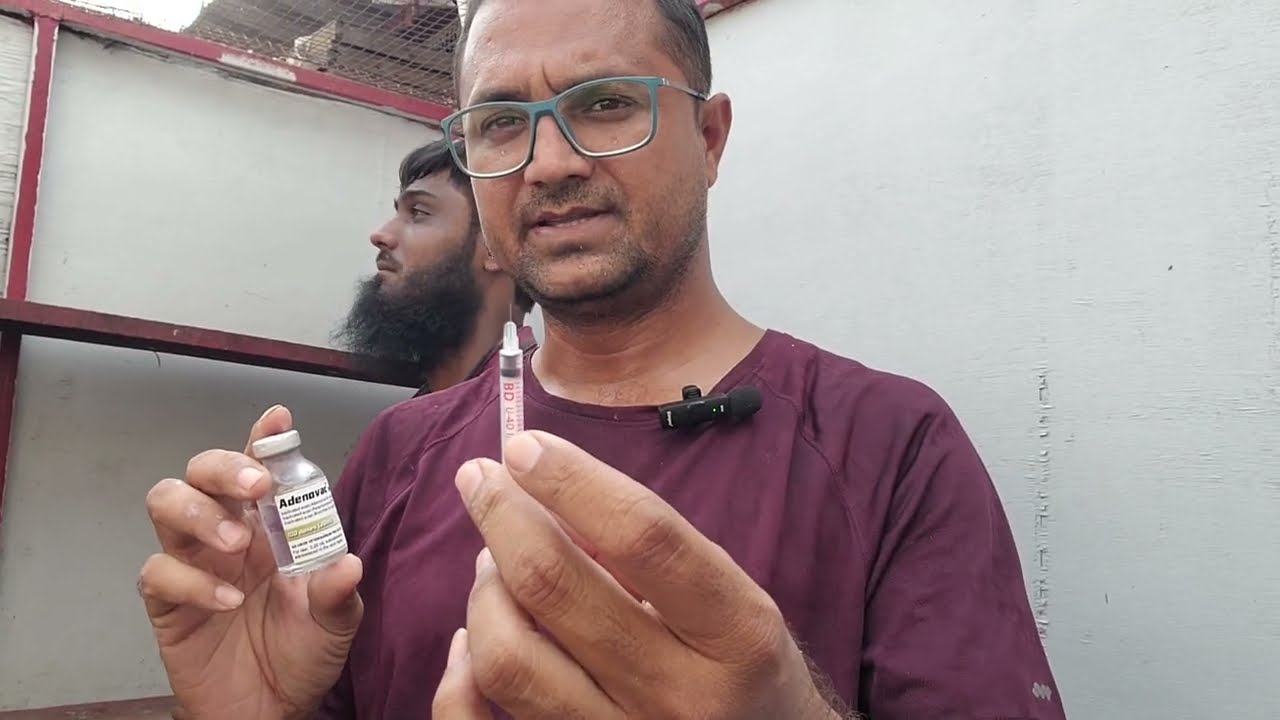Vaccination of Pigeons going to....