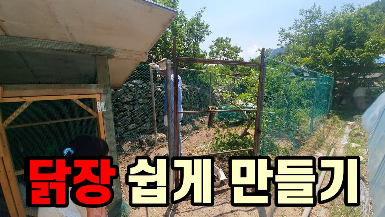 쉬운 닭장 만들기 / My Chickens' Dream Home