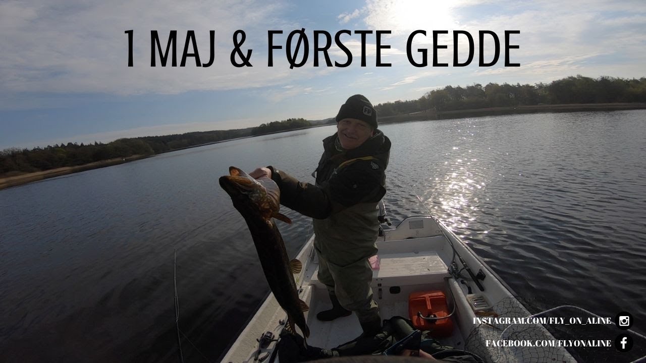 P&aring; gedde jagt d. 1 maj | En god debut p&aring; f&oslash;rste tur | OGP Skruen kan ogs&aring; fange gedder