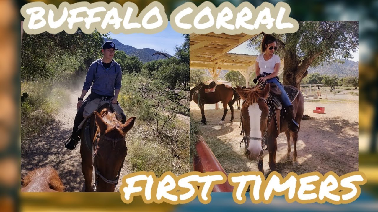 BUFFALO CORRAL | GUIDED TRAIL RIDE | HORSEBACK RIDING FOR BEGINNERS | FORT HUACHUCA