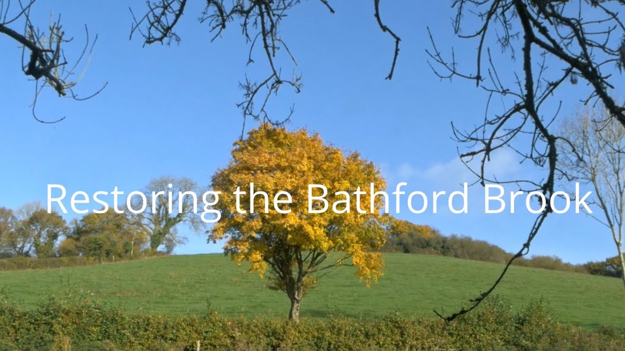 Restoring the Bathford Brook