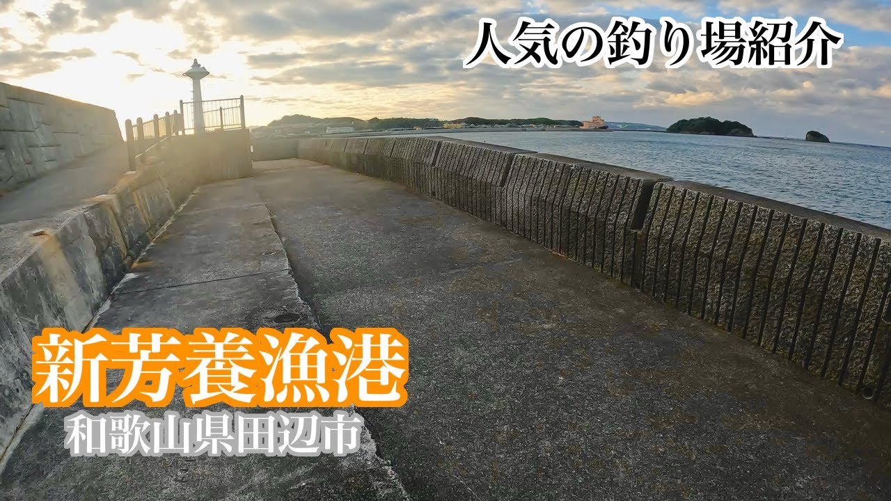 【和歌山県南紀】大波止もある超人気釣り場の新芳養漁港の釣り場紹介。青物の回遊もあり、近くに河口があるのでチヌの魚影も濃いおすすめスポット