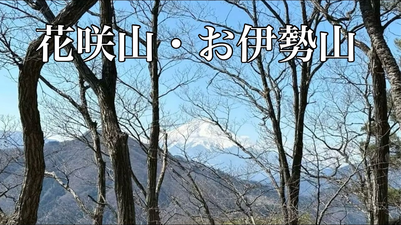 【登山日記５】2026.3.15 花咲山638m お伊勢山550m
