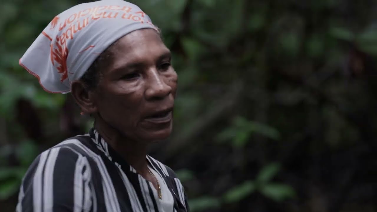 Mangrove Breakthrough Documentary - Trailer