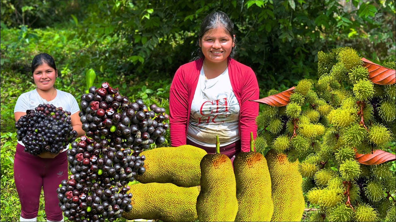 Cosechando YAKAS en el campo la fruta de 7 sabores - NATHALIA
