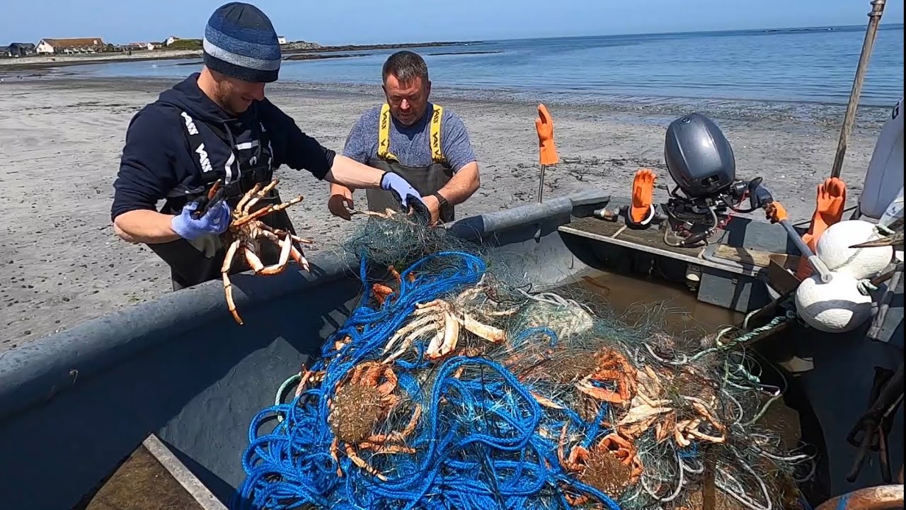 COMMERCIAL FISHING - Netting for Ray & Giant Spidercrab , Hauling Lobster & Crab Pots ! BIG CATCH !