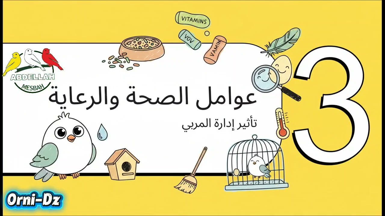 أسباب البيض الغير مخصب عند الطيور 