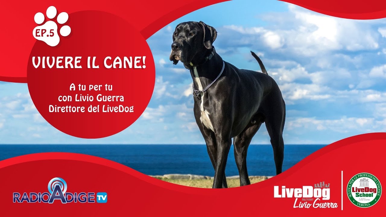 VIVERE IL CANE! EP. 5 - 