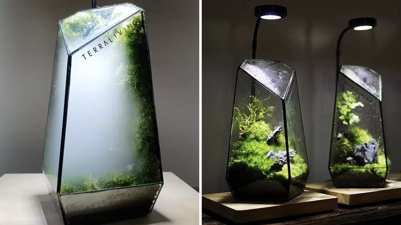 Ces terrariums design inspirés de la nature cachent des mini-écosystèmes mystérieux