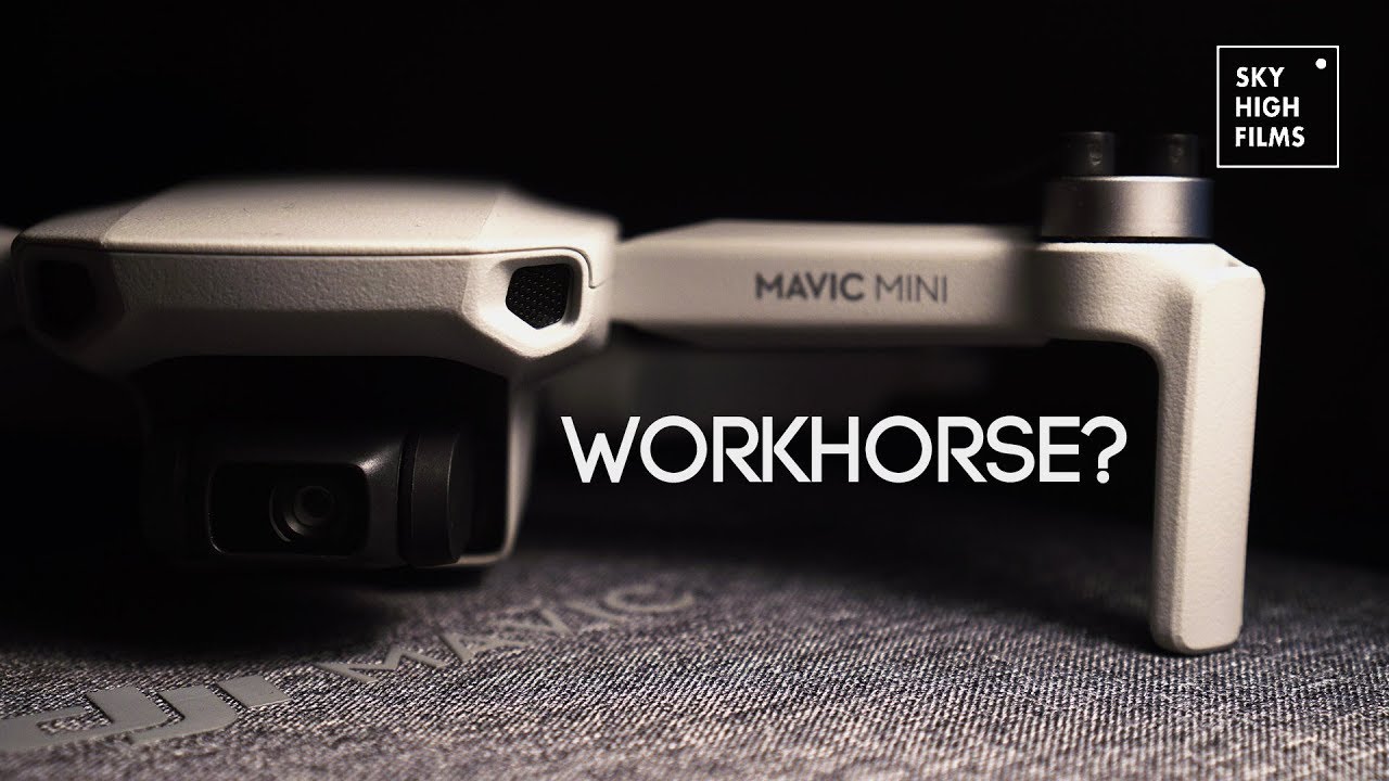 IS MAVIC MINI A WORKHORSE?
