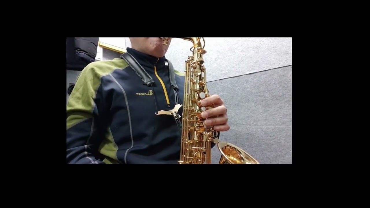 나를있게한사람_금잔디 (알토) #saxophone #현역가왕 #머털의색소폰