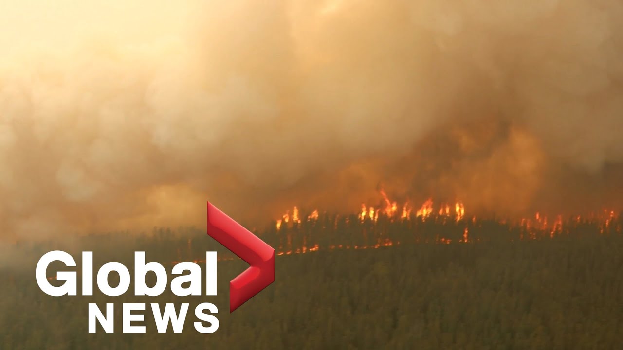 How exposure to wildfire smoke may affect the body