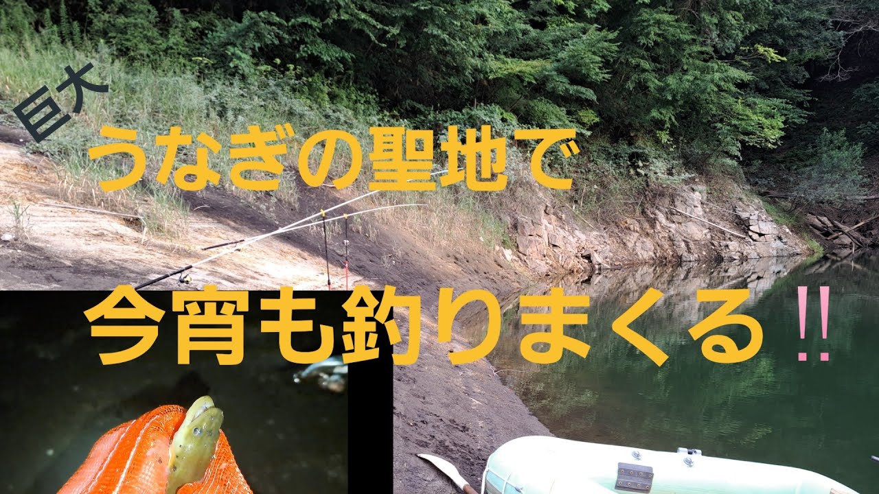 8月23日　うなぎ釣行