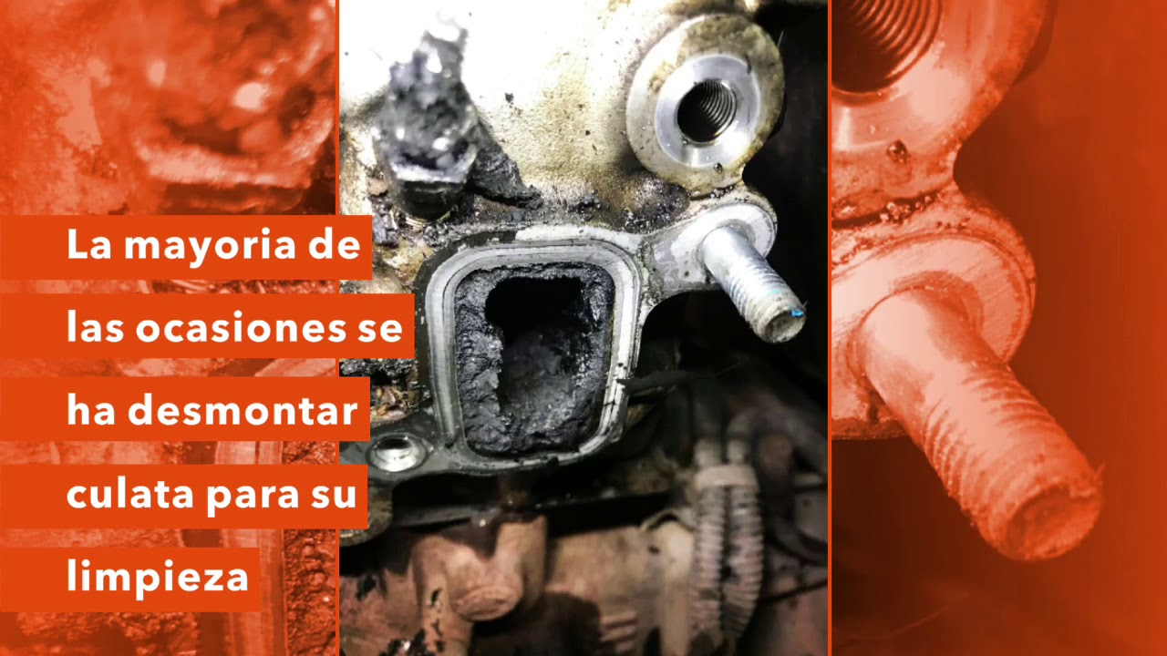 Reparacion toyota hilux 3.0d4d 1KD