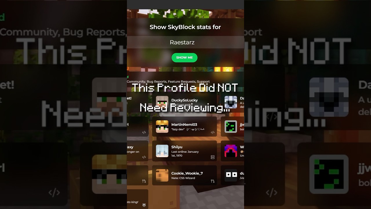 Этот профиль не нуждался в проверке. Вот почему | Hypixel Skyblock