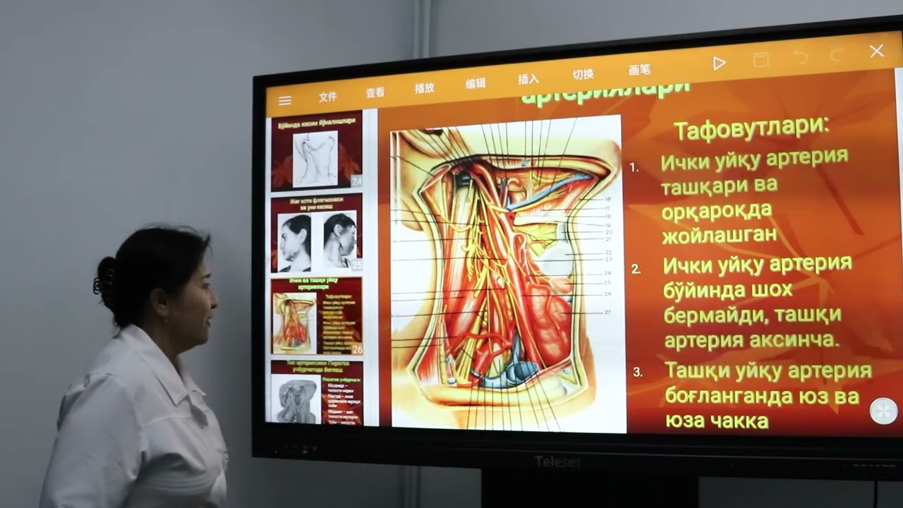 Bo’yinning jarrohlik anatomiyasi va asosiy operatsiyalar