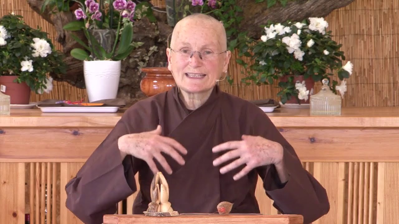 Comment trouver la joie dans les moments difficiles/Enseignement de Sr Dao Nghiem 08/11/2020