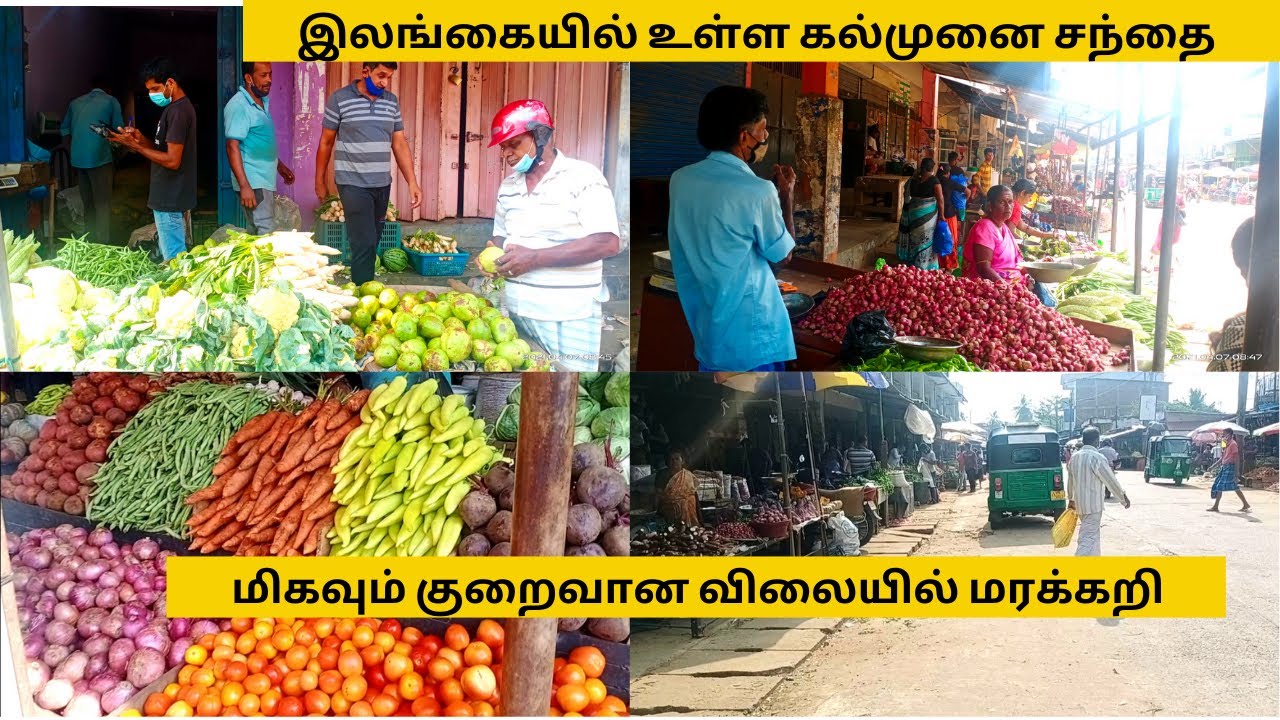 இலங்கையில் உள்ள கல்முனை சந்தை | kalmunai | batticaloa |#pkvlogstamil​ #srilanka​ #sltamilvlogs​