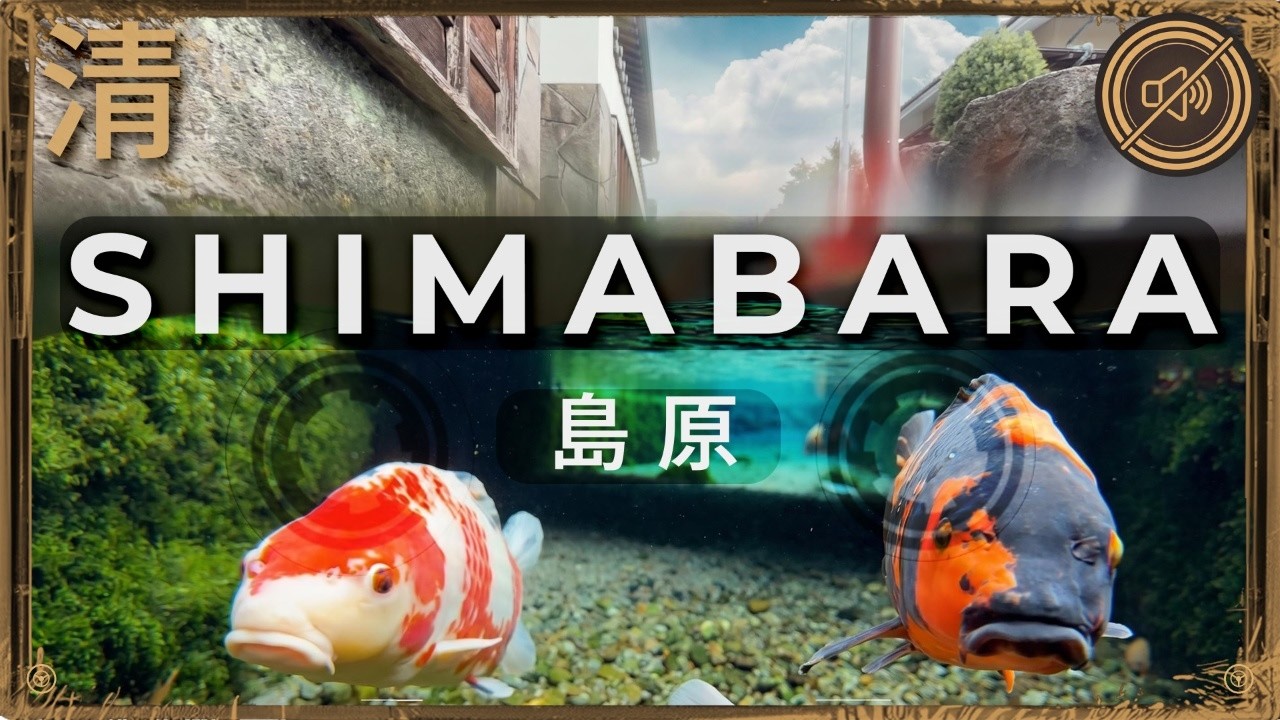Forgotten Beauty in Nagasaki | Solo Travel to Japan's Cinematic Coastline