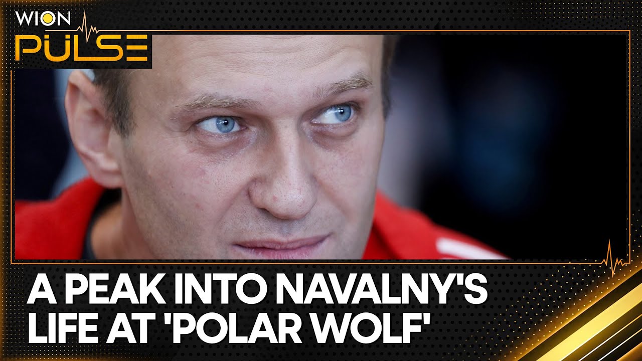 Russia: Alexei Navalny's life in 'polar wolf' remote Arctic penal colony | WION Pulse