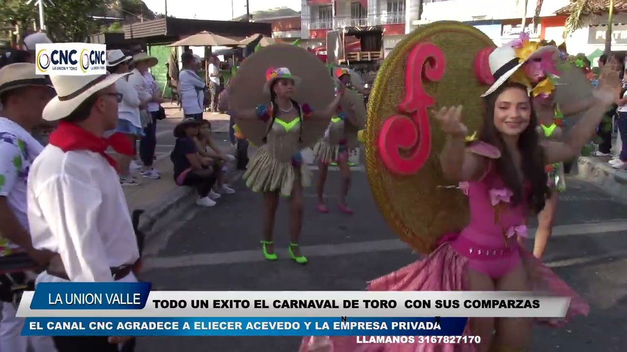 02 CARROZAS Y COMPARZAS EN EL CARNAVAL DE TORO