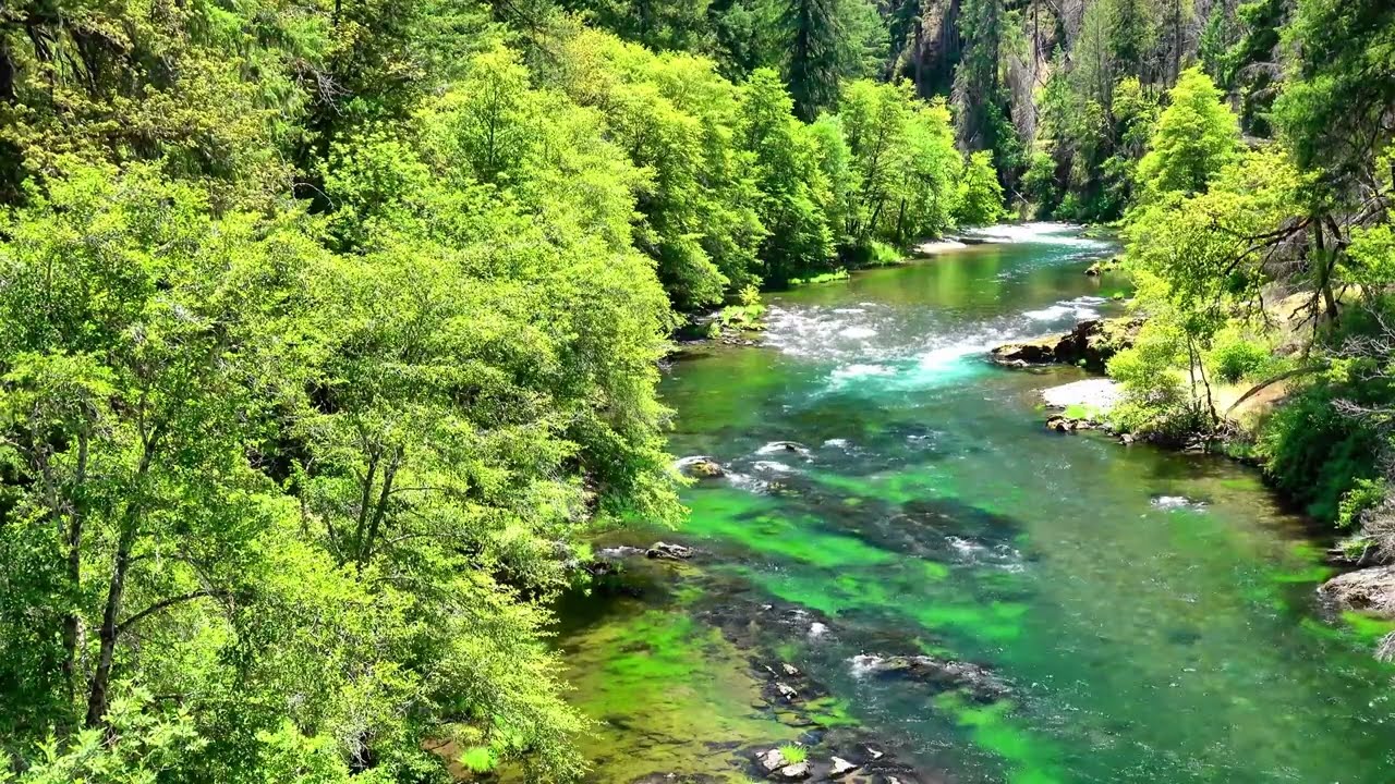 बस 5 मिनट दो… मन अपने आप शांत हो जाएगा 🌿